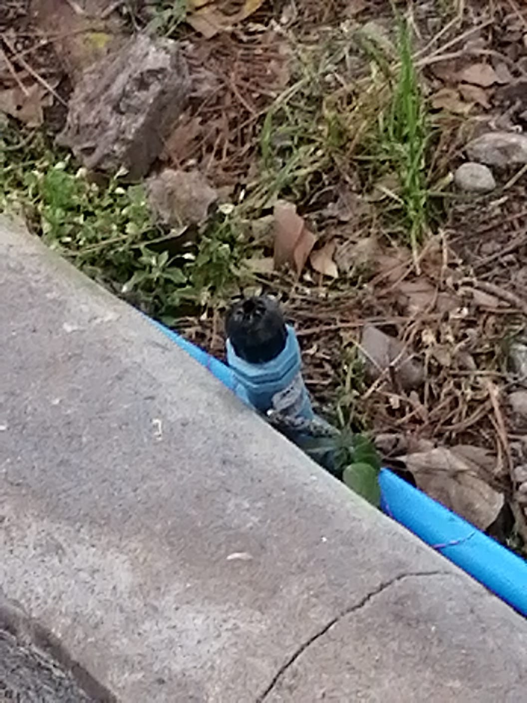 riego-automatico-chile